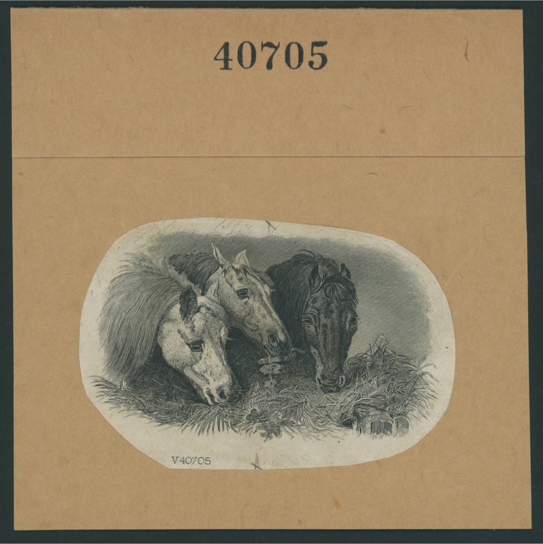 ABNC Vignette Proof, Horses #5