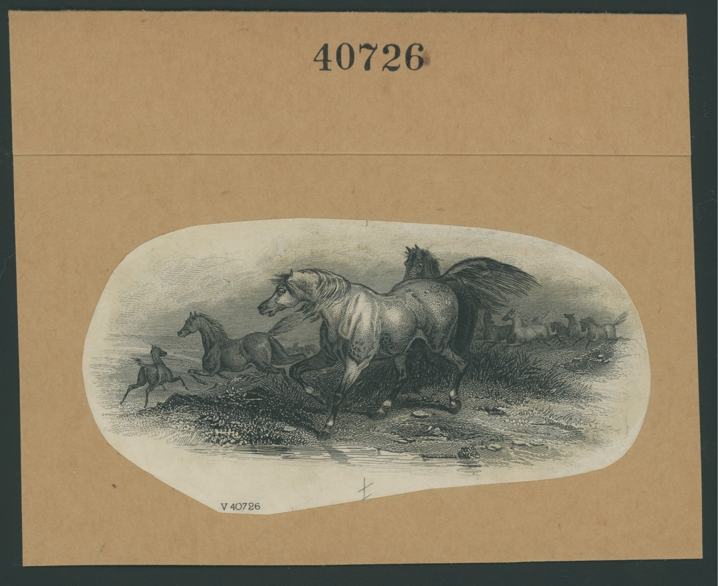 ABNC Vignette Proof, Horses #4