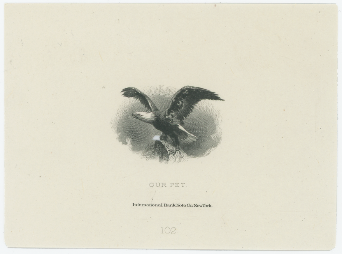 ABNC Vignettes: Eagles #06, "Our Pet"