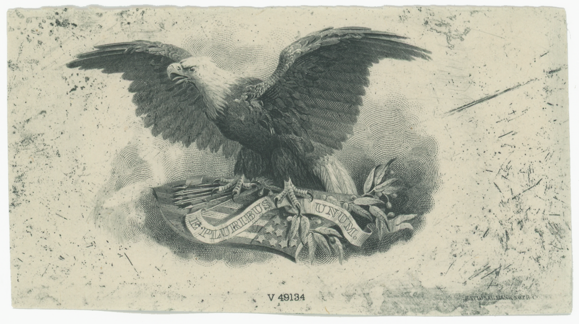 ABNC Vignettes: Eagles #05