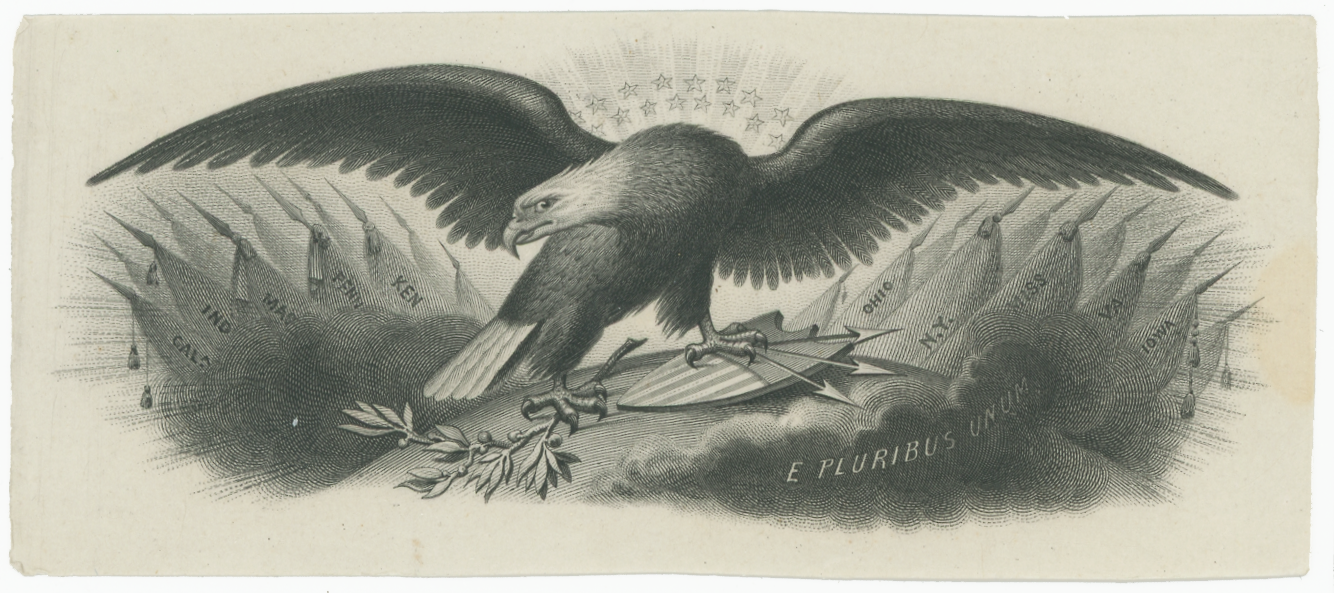 ABNC Vignettes: Eagles #04