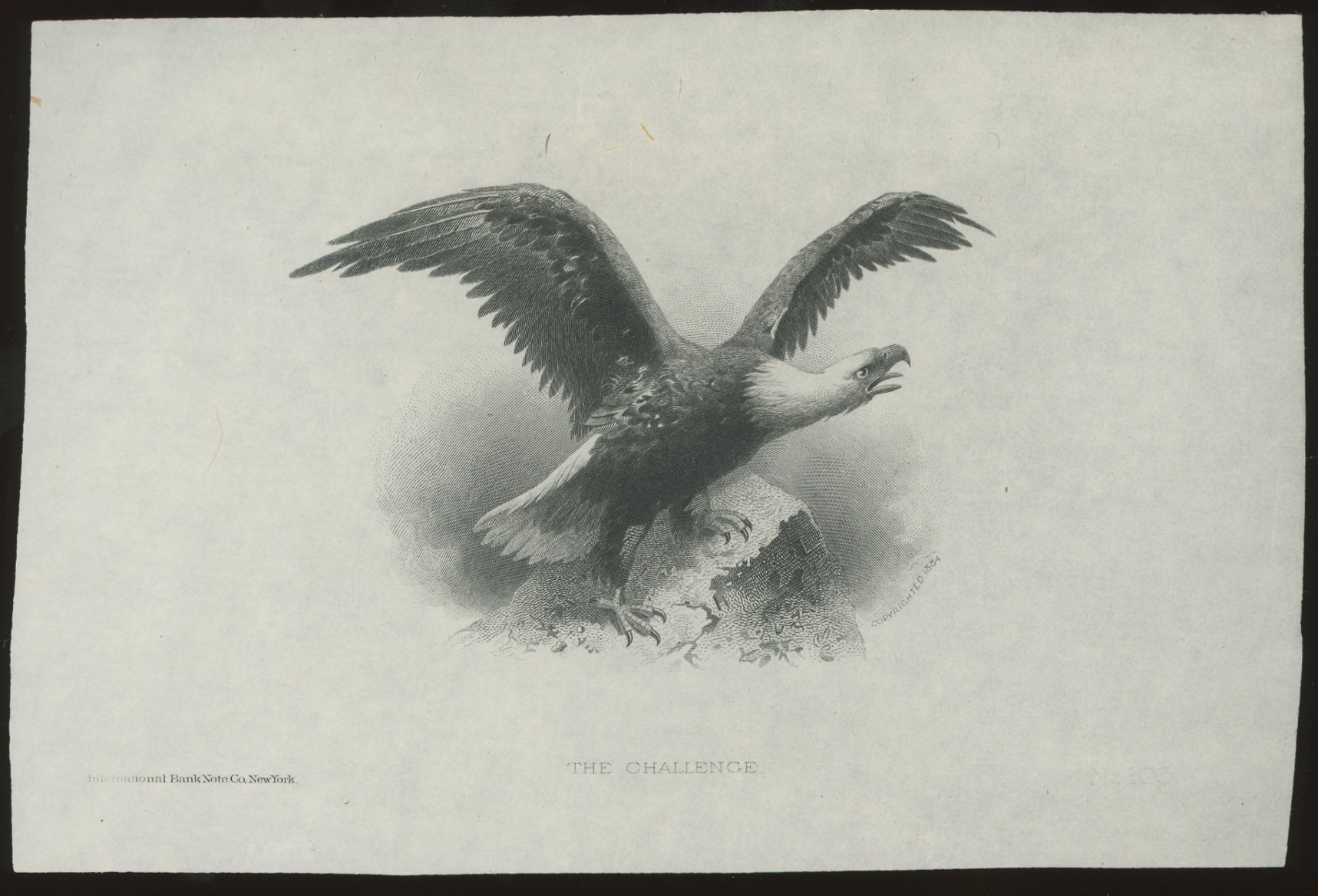 ABNC Vignettes: Eagles #03, "The Challenge"