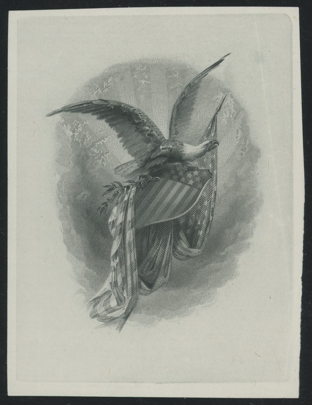 ABNC Vignettes: Eagles #01