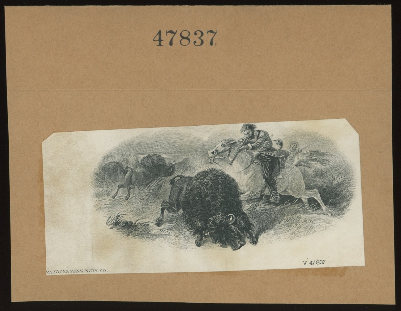 ABNC Vignettes: Hunting Buffalo
