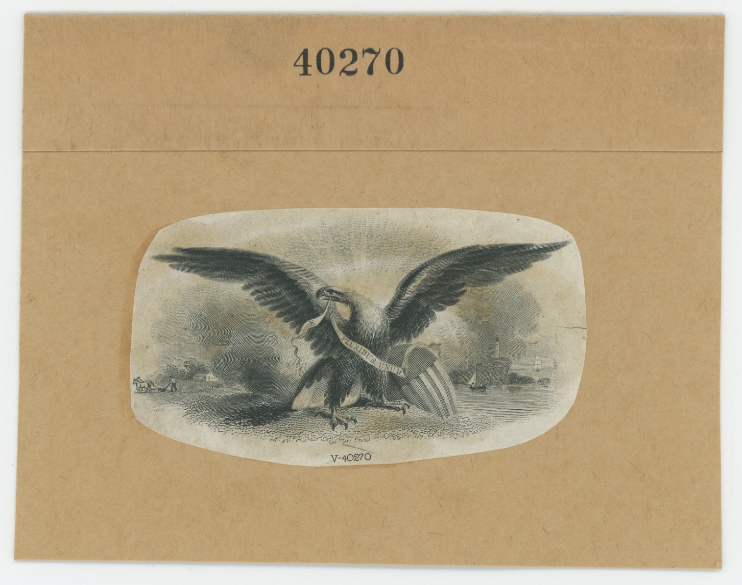 ABNC Vignettes: Eagles #09