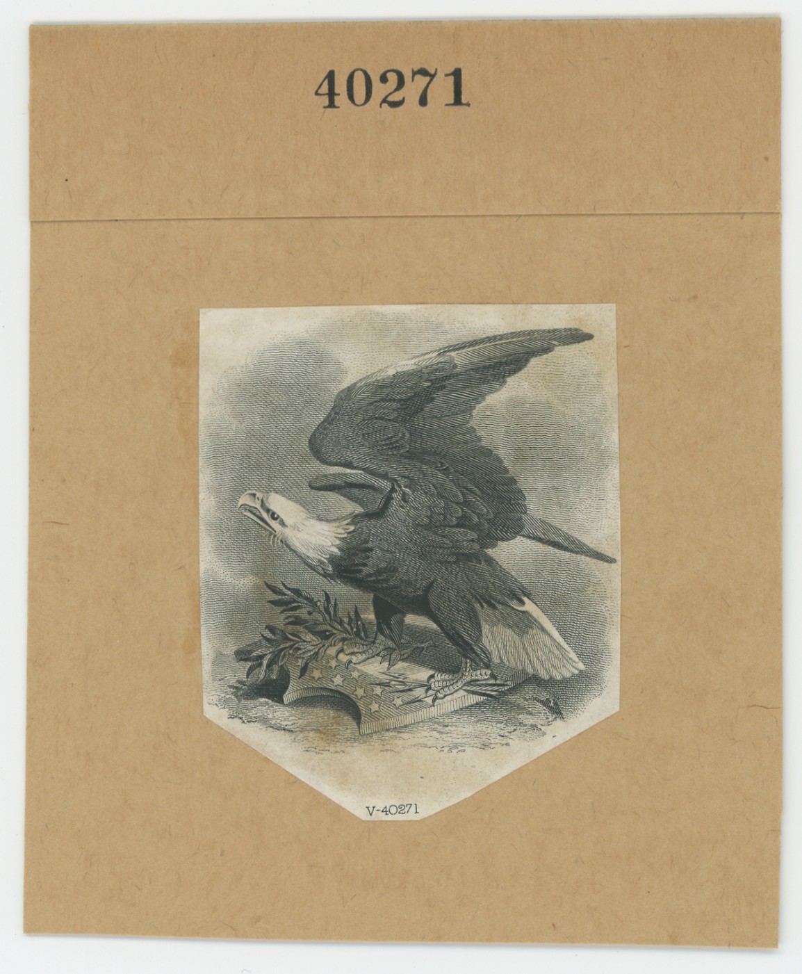 ABNC Vignettes: Eagles #13