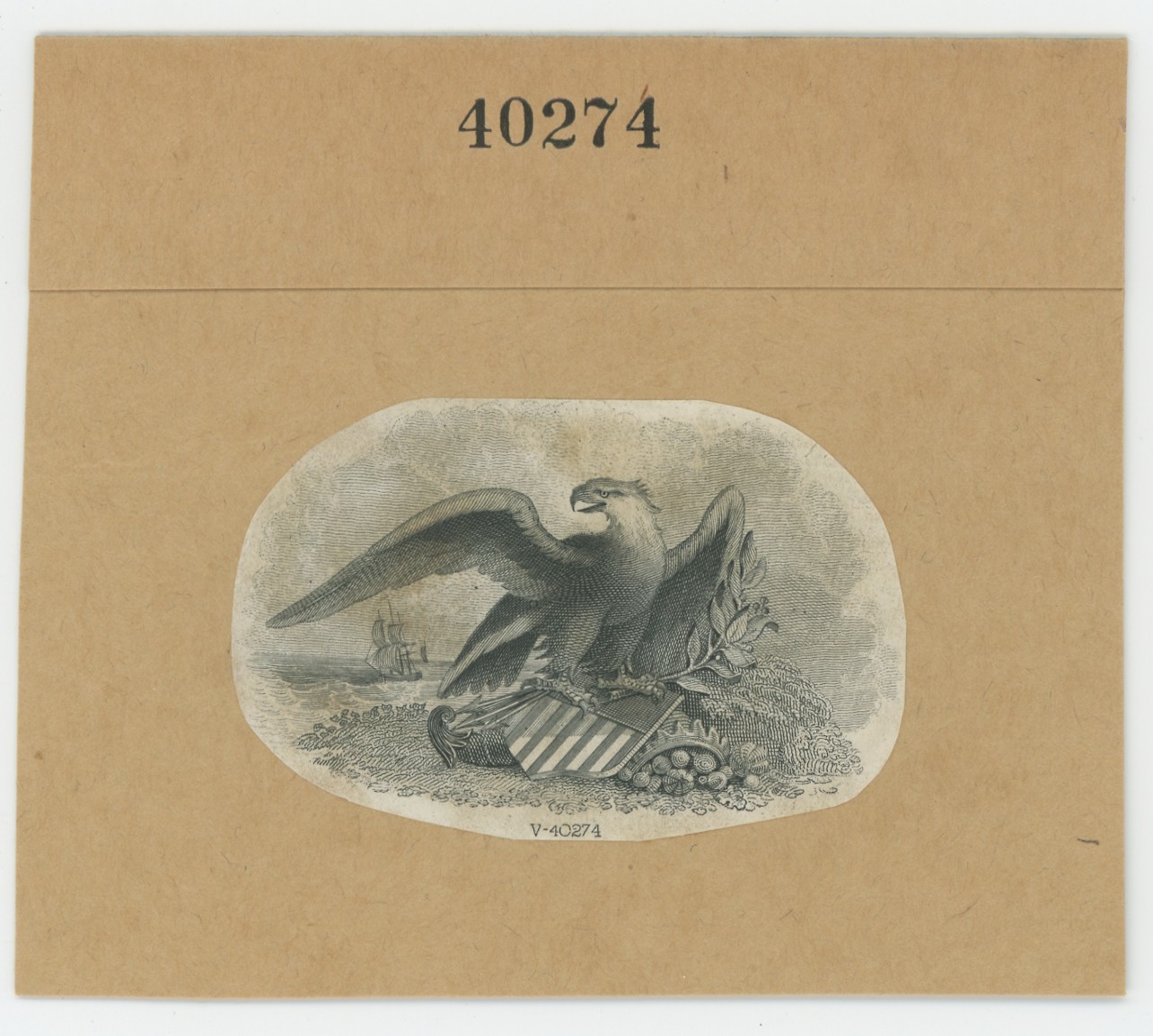 ABNC Vignettes: Eagles #11