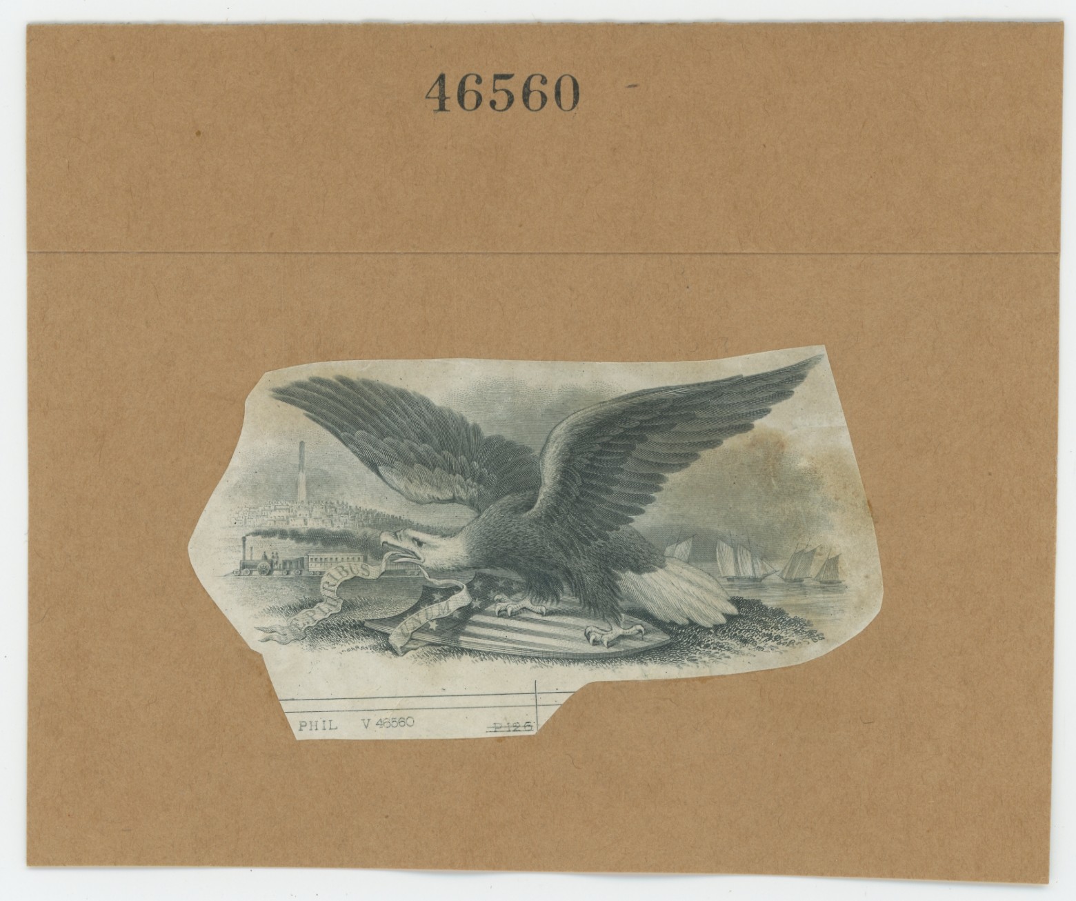ABNC Vignettes: Eagles #08