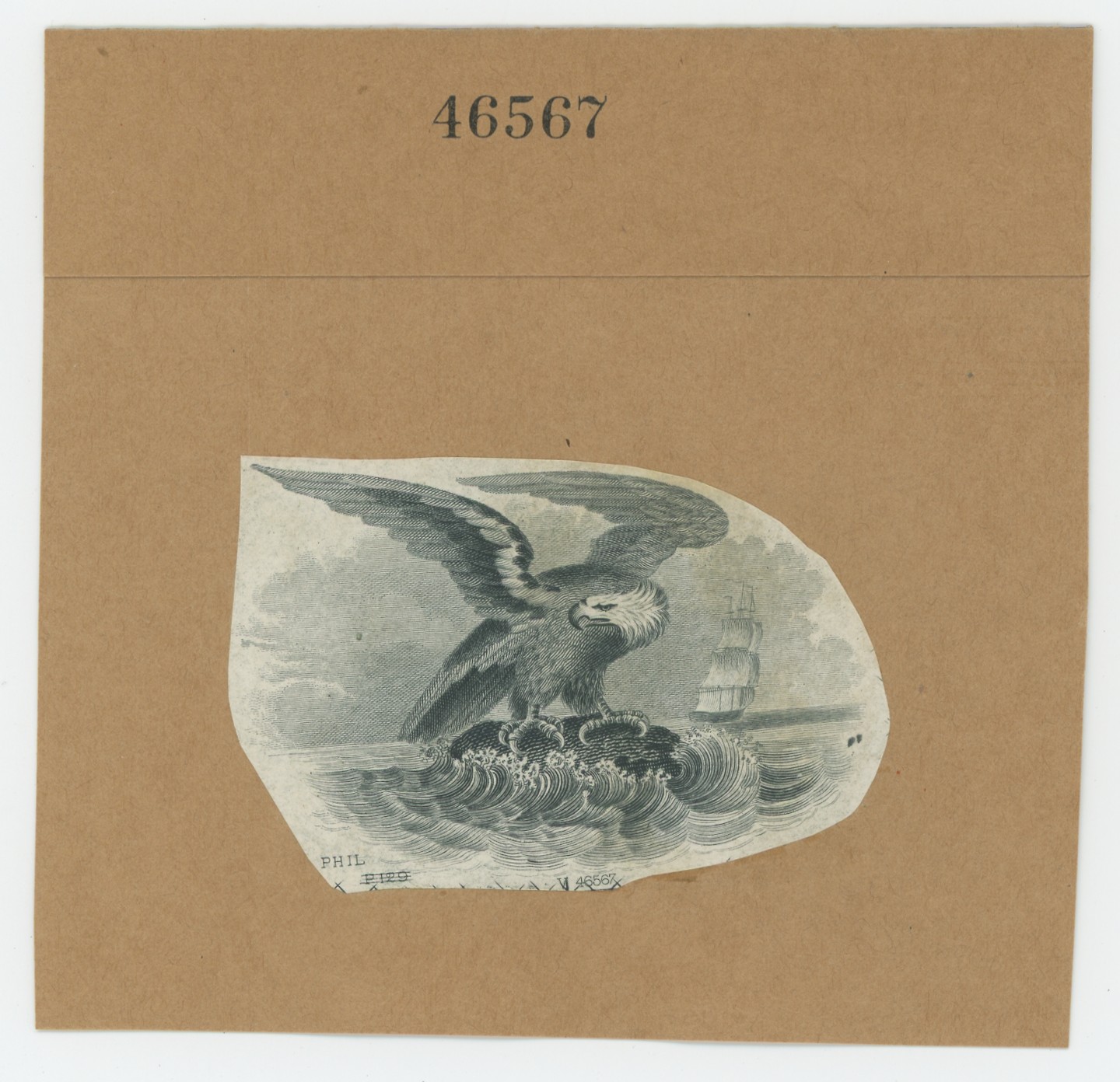 ABNC Vignettes: Eagles #07