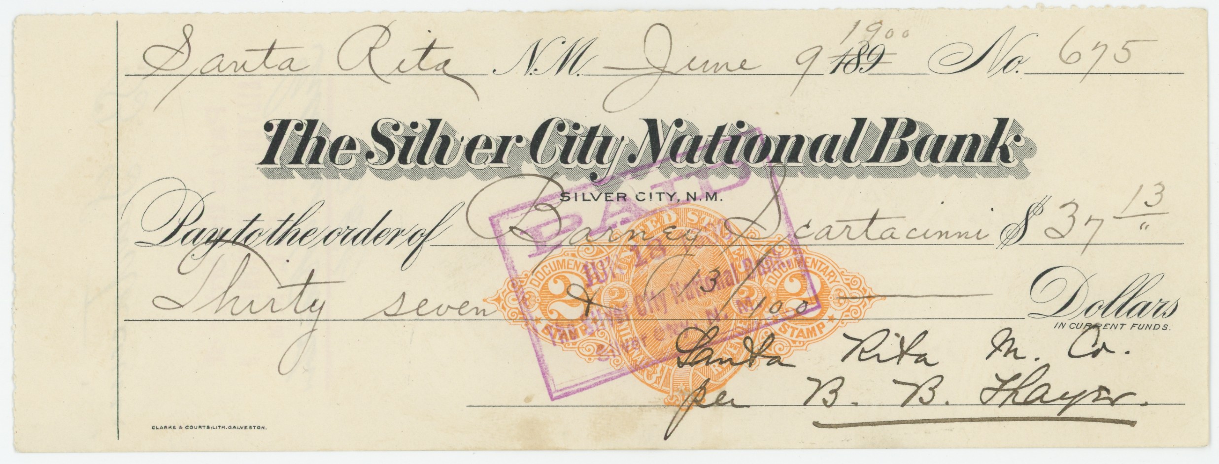 The Silver City National Bank