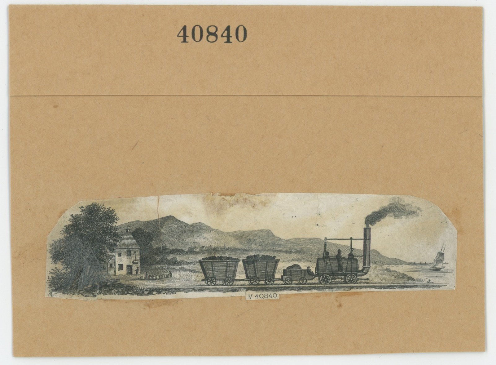 ABNC RR Vignette #16