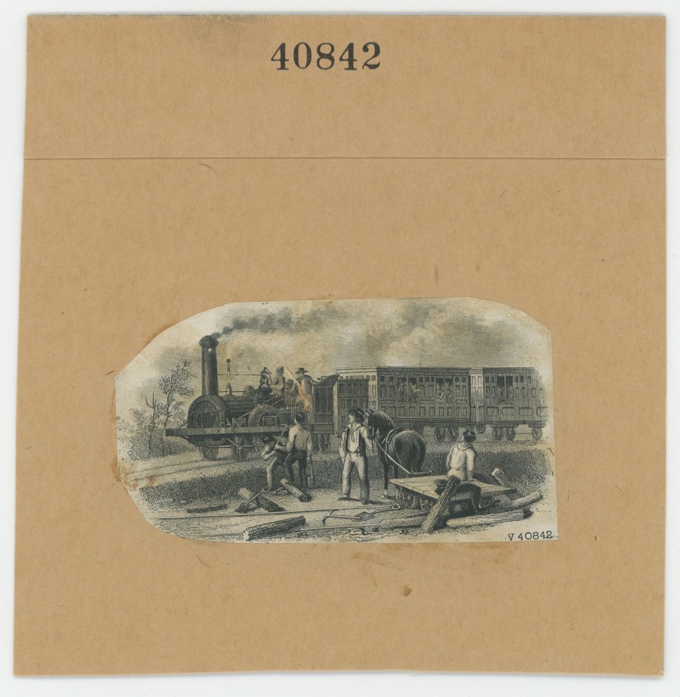 ABNC RR Vignette #18