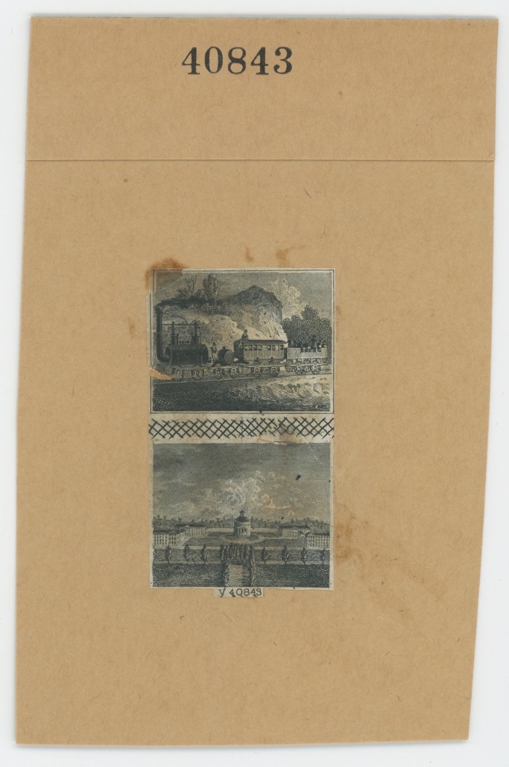 ABNC RR Vignette #19