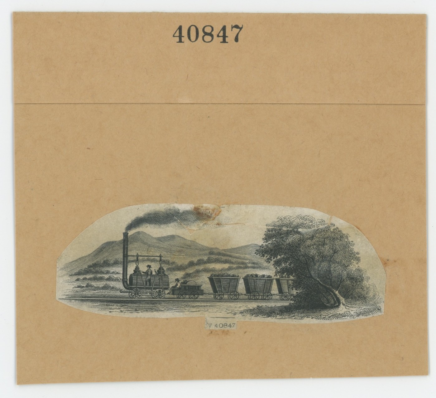 ABNC RR Vignette #21