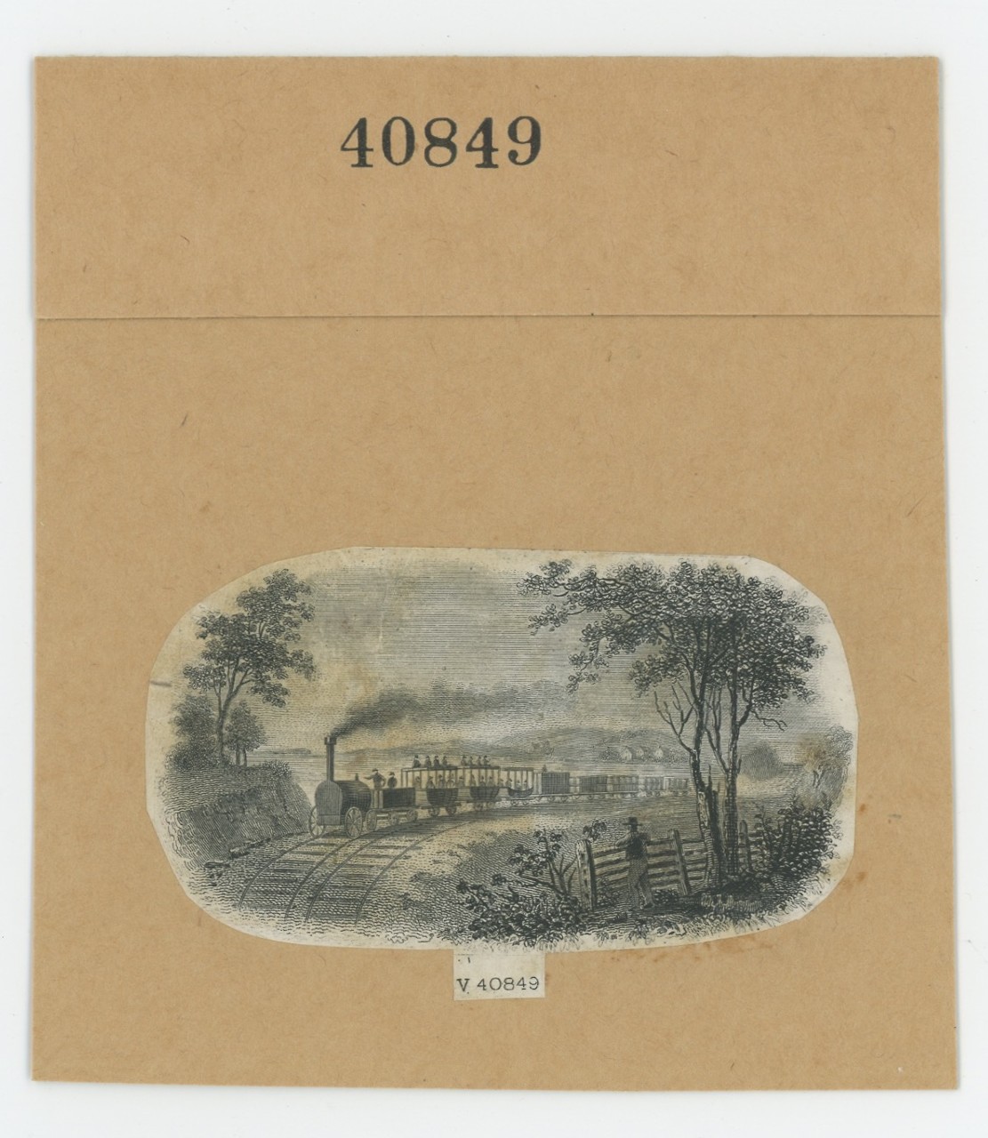 ABNC RR Vignette #23