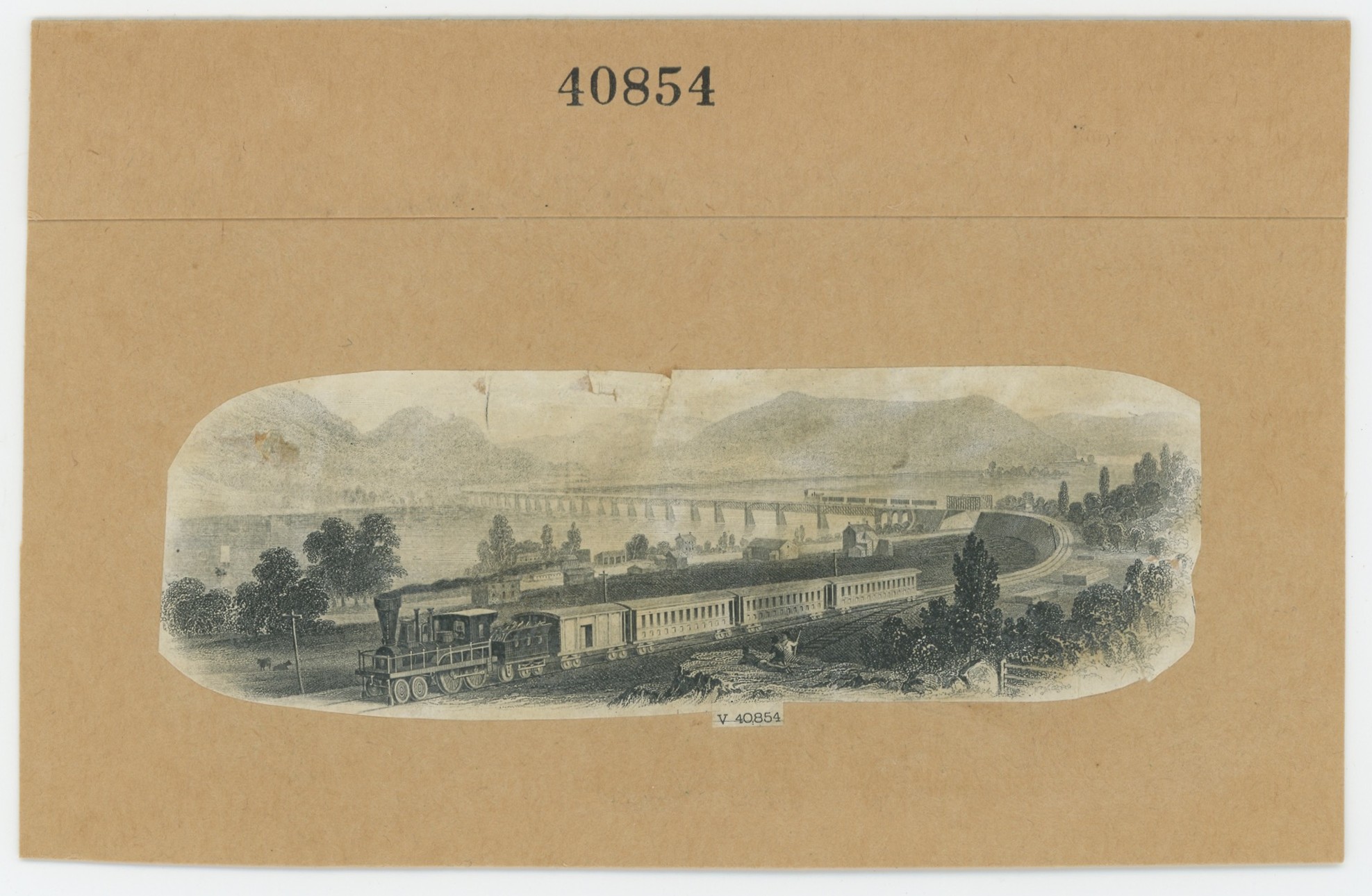 ABNC RR Vignette #26