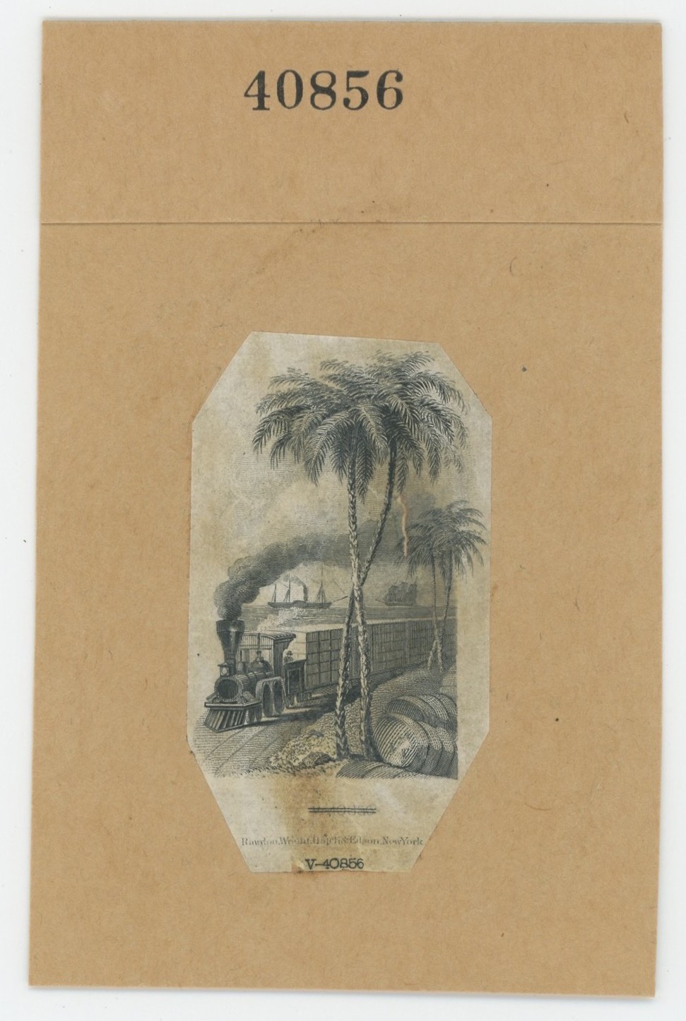 ABNC RR Vignette #28