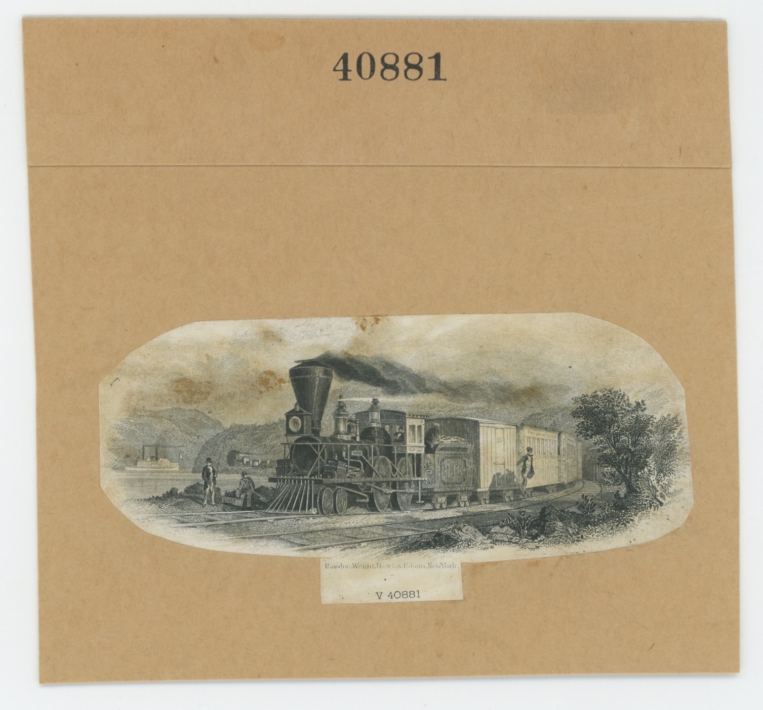 ABNC RR Vignette #37