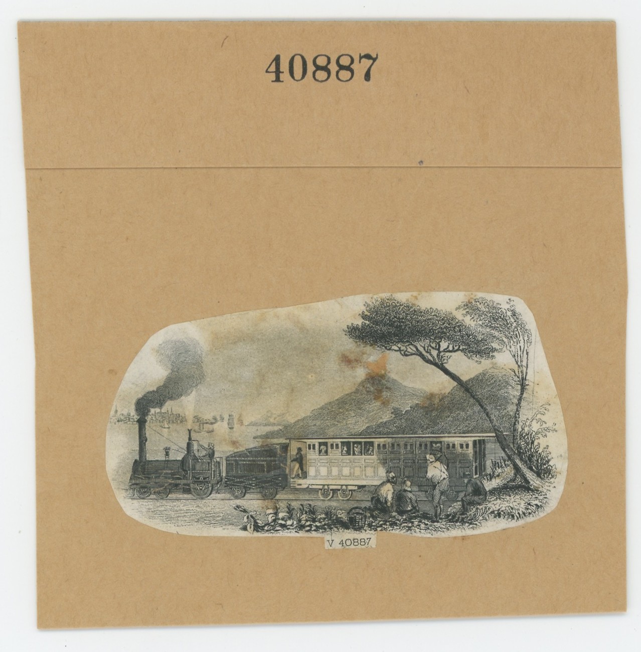 ABNC RR Vignette #41