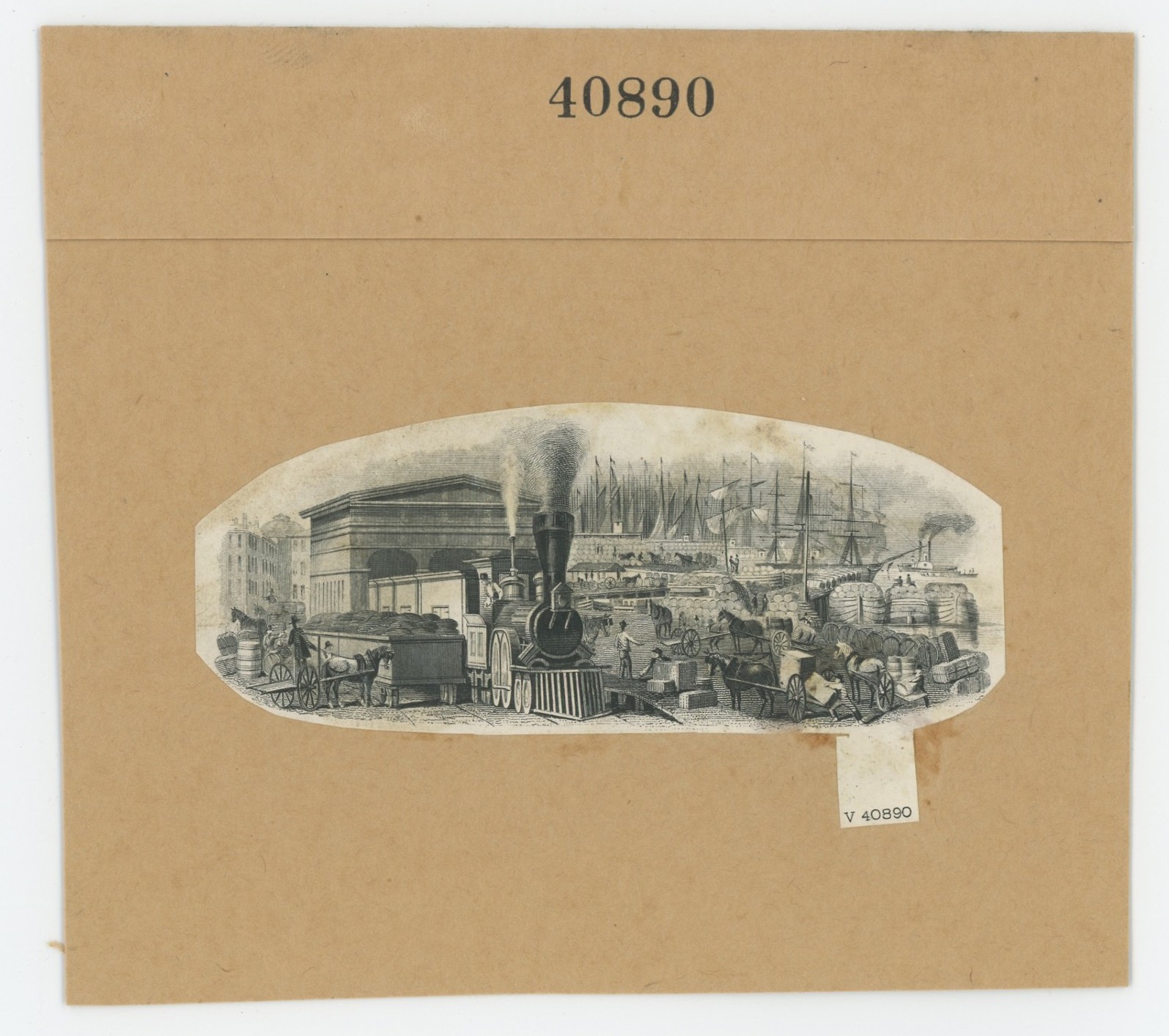 ABNC RR Vignette #44