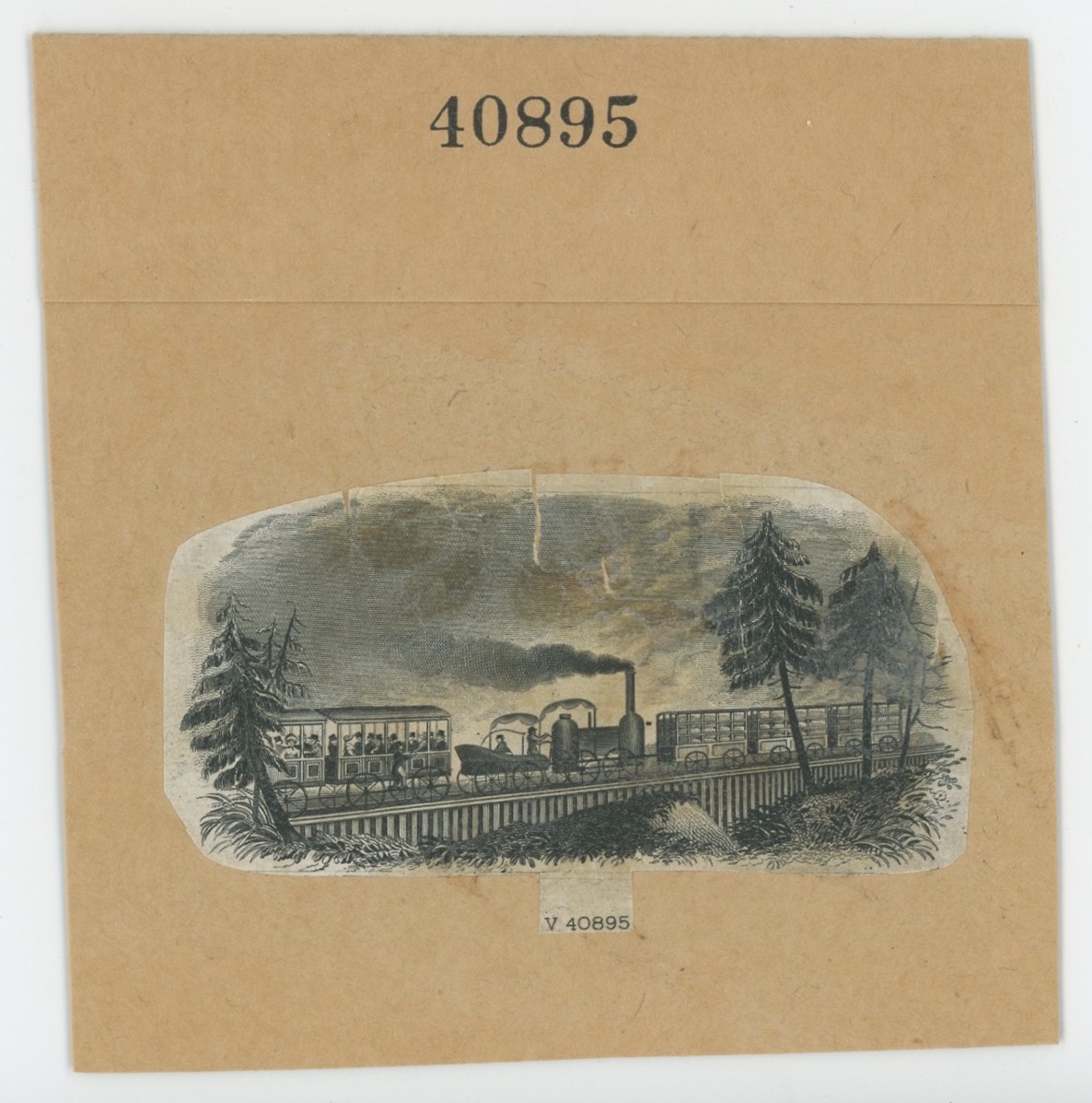 ABNC RR Vignette #49