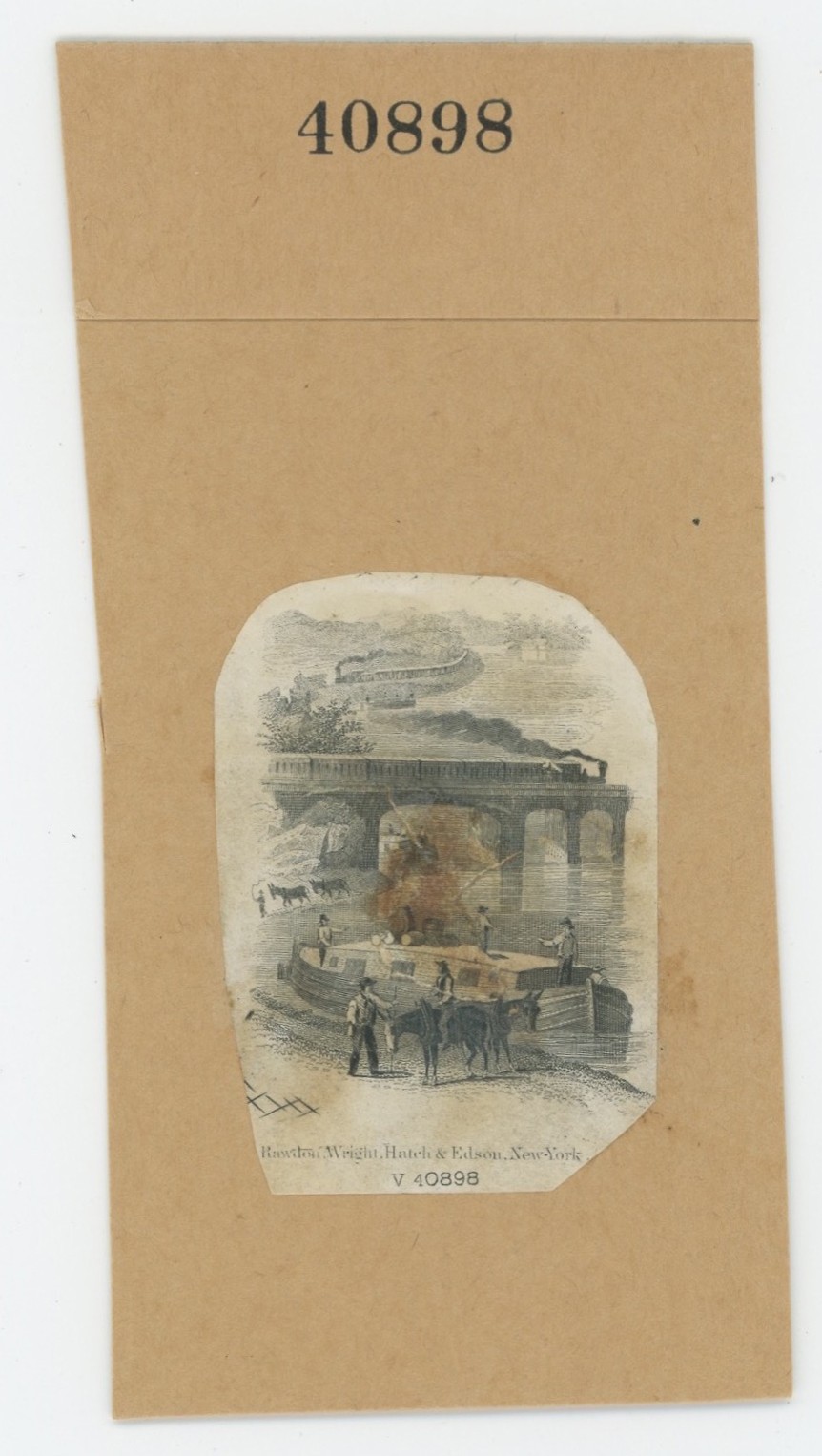 ABNC RR Vignette #50