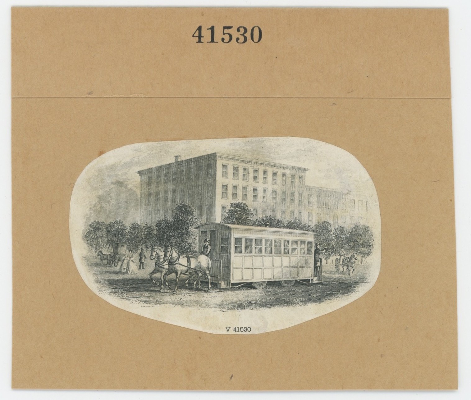 ABNC RR Vignette #56